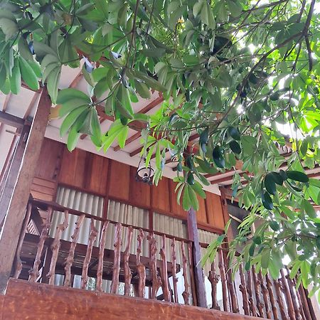 Diana'S Homestay بانيووانجى المظهر الخارجي الصورة