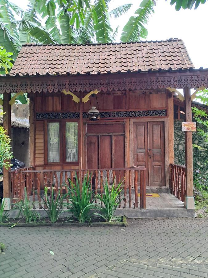 Diana'S Homestay بانيووانجى المظهر الخارجي الصورة
