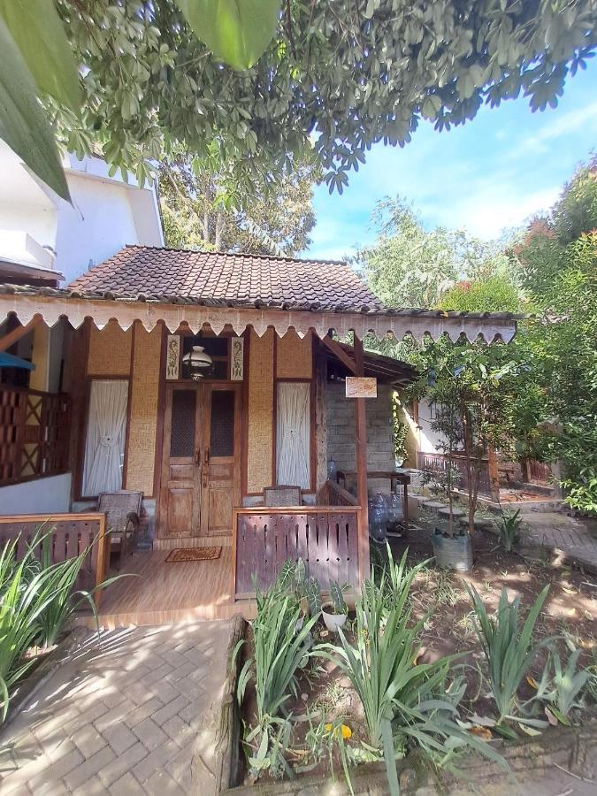 Diana'S Homestay بانيووانجى المظهر الخارجي الصورة