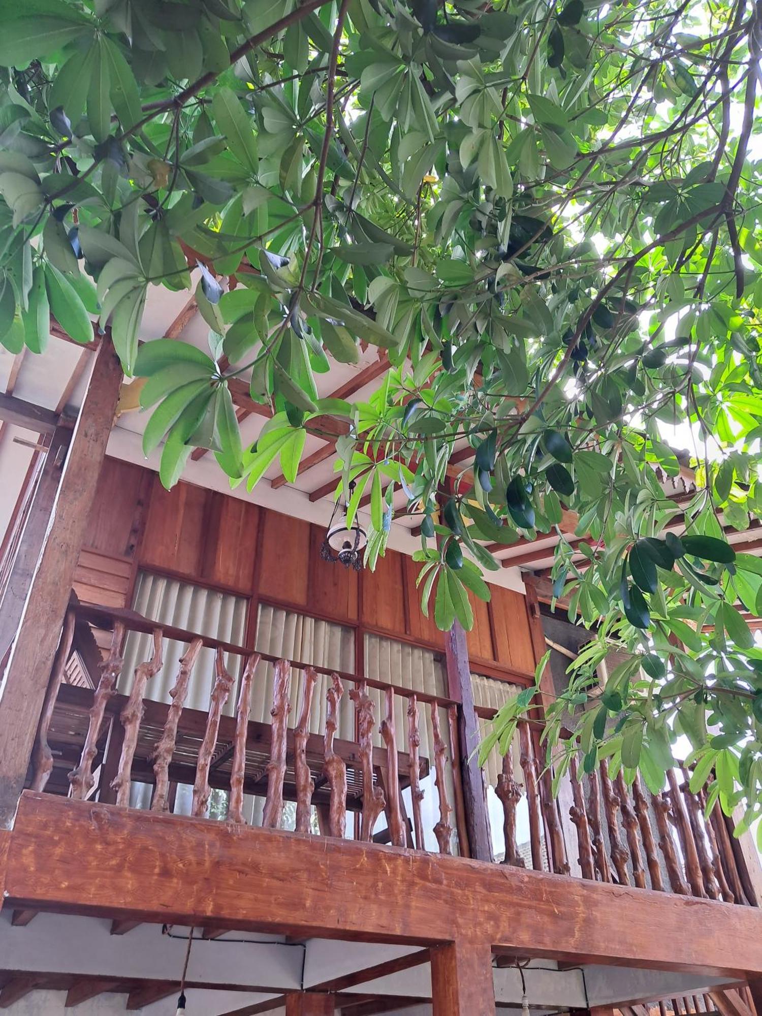 Diana'S Homestay بانيووانجى المظهر الخارجي الصورة