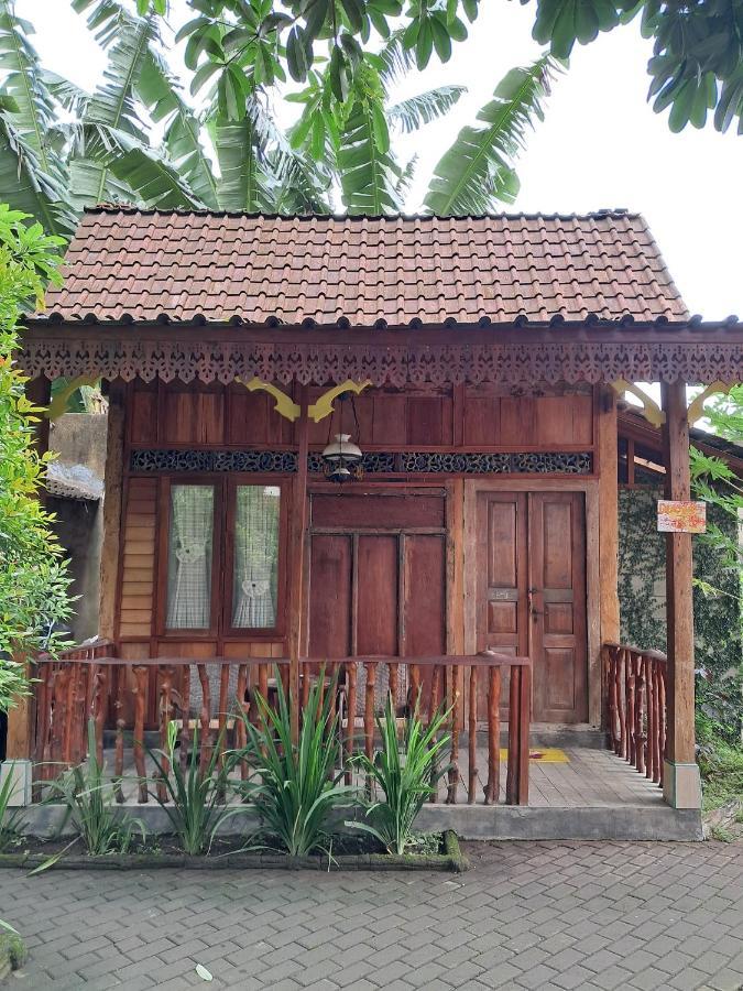 Diana'S Homestay بانيووانجى المظهر الخارجي الصورة